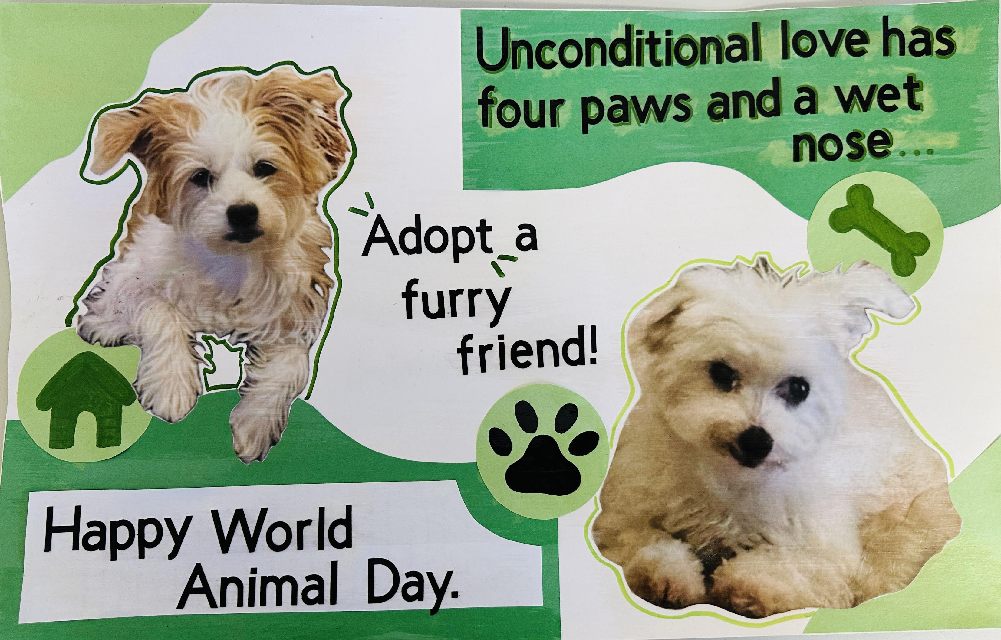 animal collage by brianna