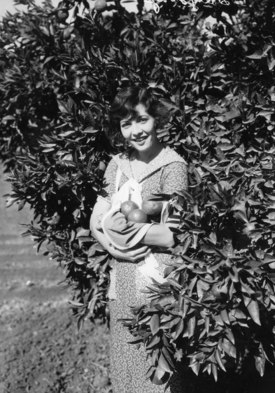 woman in Orange Grove 1926